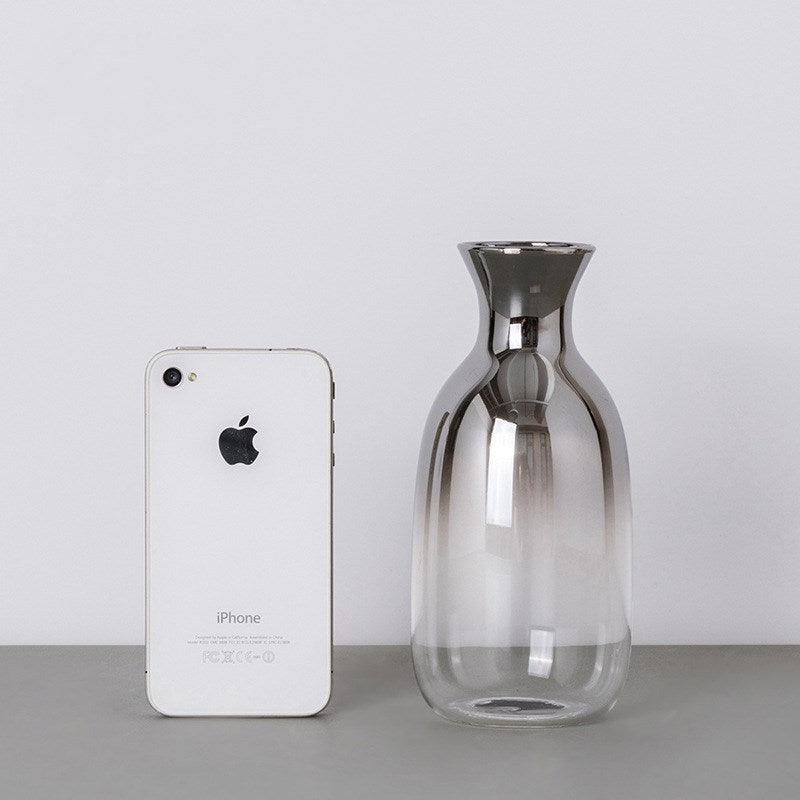 Nordic Creative Transparent Glass Vase Small Caliber - Pacisia