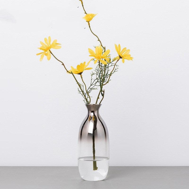 Nordic Creative Transparent Glass Vase Small Caliber - Pacisia