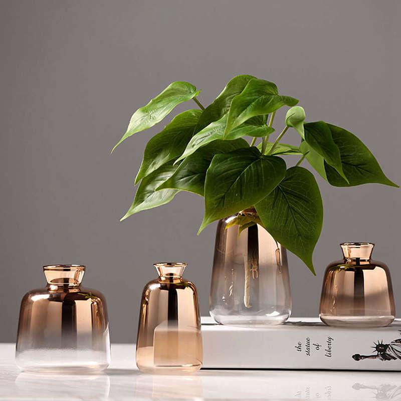 Nordic modern minimalist decoration in glass vase - Pacisia