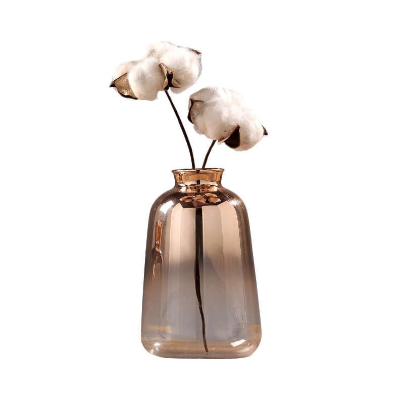 Nordic modern minimalist decoration in glass vase - Pacisia