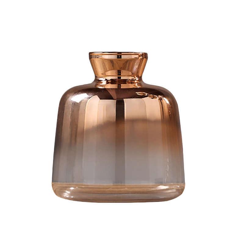 Nordic modern minimalist decoration in glass vase - Pacisia