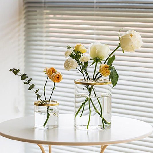 Nordic Transparent Glass Vase Golden Grid Cover Living Room Flower - Pacisia