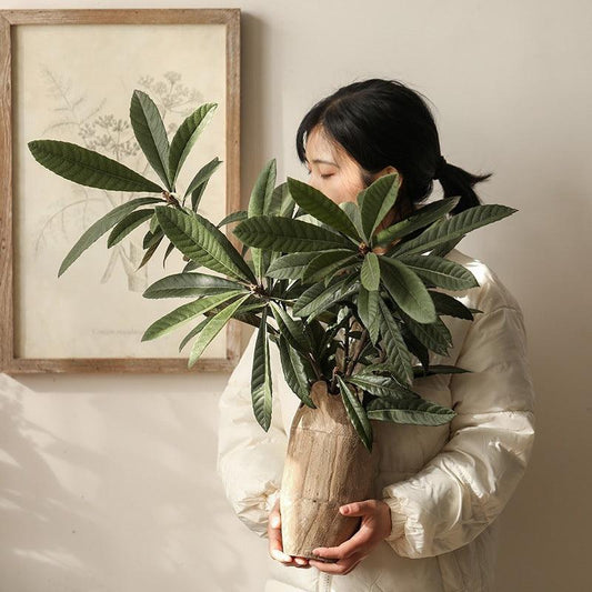 Old Solid Wood Wabi Sabi Style Vase Ornament - Pacisia