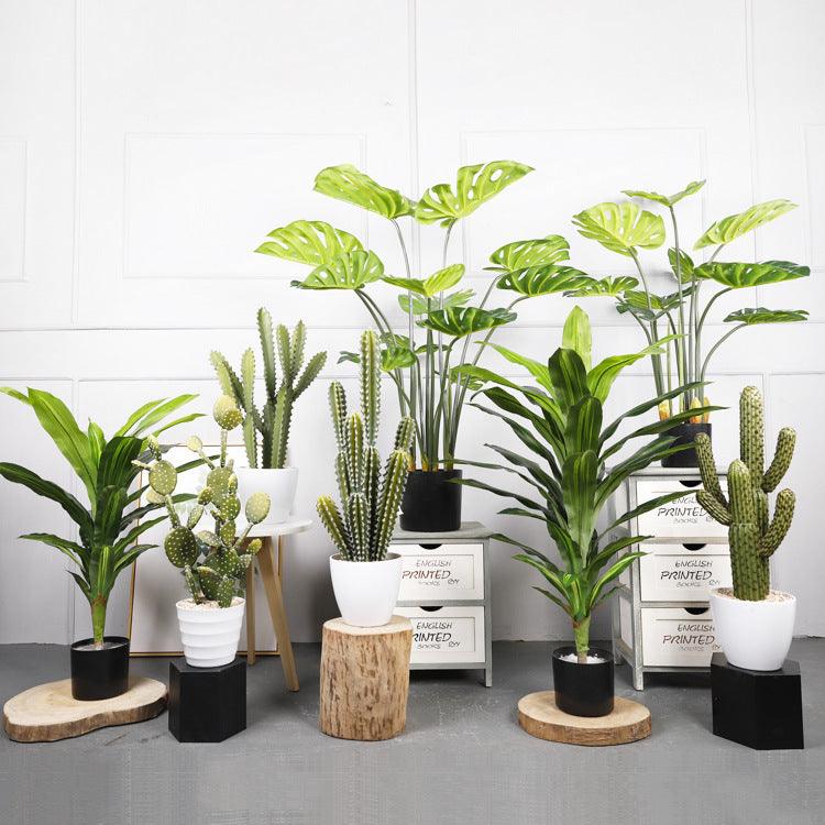 Potted Indoor Faux Plants - Pacisia