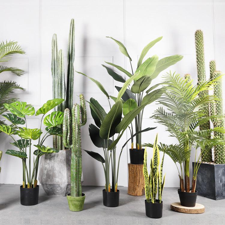 Potted Indoor Faux Plants - Pacisia