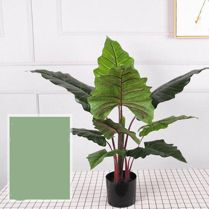 Potted Indoor Faux Plants - Pacisia