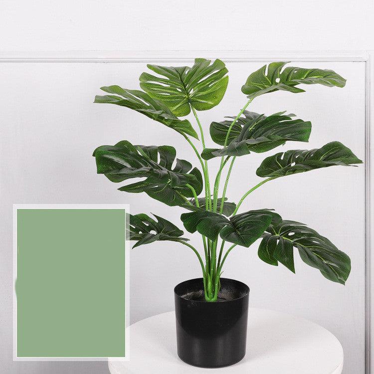 Potted Indoor Faux Plants - Pacisia