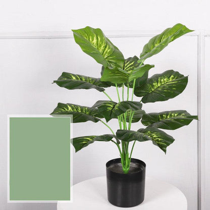 Potted Indoor Faux Plants - Pacisia