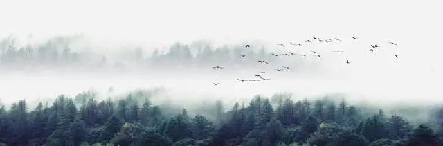 Landscape Canvas Painting, Lake Forest Mountain Scenery Painting Wall Art Decor Posters For Living Room Bedroom Prints Picture - Pacisia