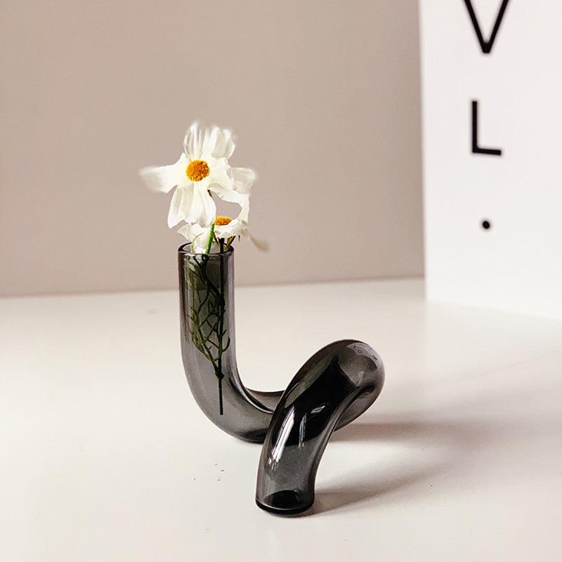 Shaped Glass Vase Nordic Ins Curved Transparent - Pacisia