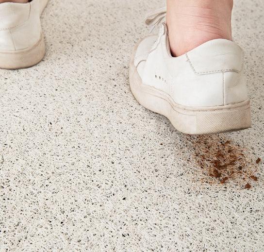 Silk Mat Wear-resistant Door Door Carpet - Pacisia