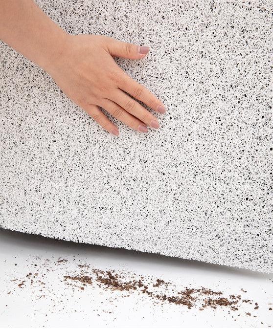 Silk Mat Wear-resistant Door Door Carpet - Pacisia