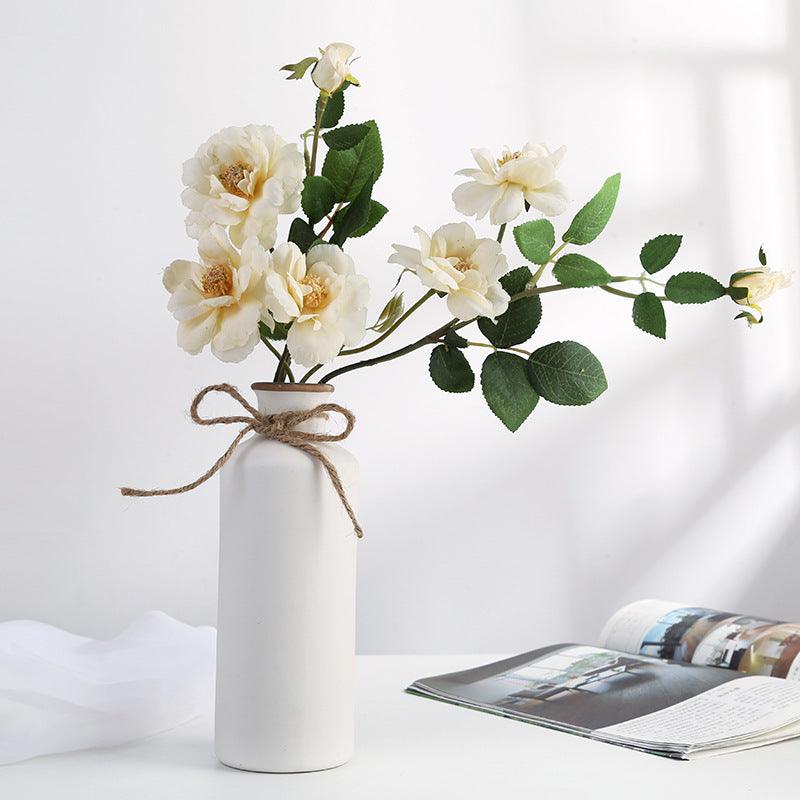 Simple European Ceramic Vase For Home Decoration - Pacisia