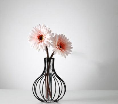 Simple Glass Test Tube Hydroponic Vase - Pacisia