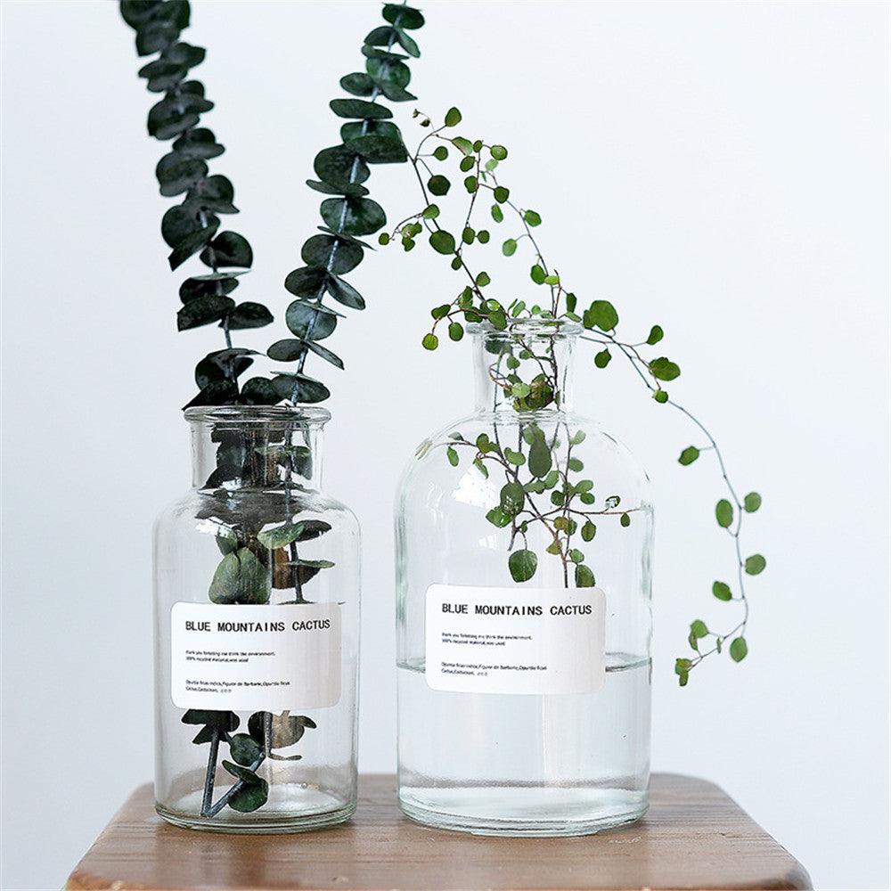 Small Brown Bottle Hydroponic Vase Clear Glass Small - Pacisia