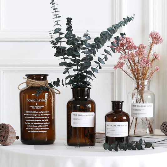 Small Brown Bottle Hydroponic Vase Clear Glass Small - Pacisia