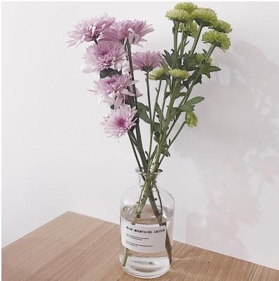 Small Brown Bottle Hydroponic Vase Clear Glass Small - Pacisia