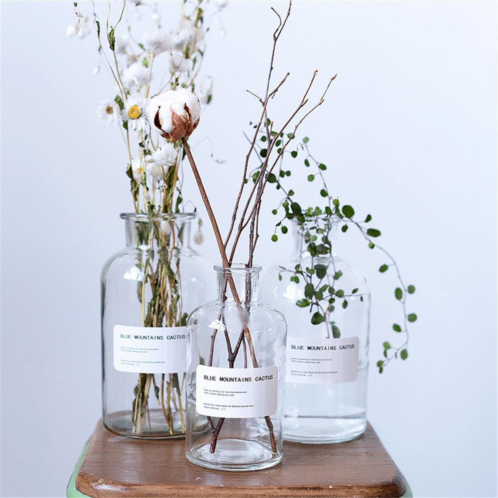 Small Brown Bottle Hydroponic Vase Clear Glass Small - Pacisia