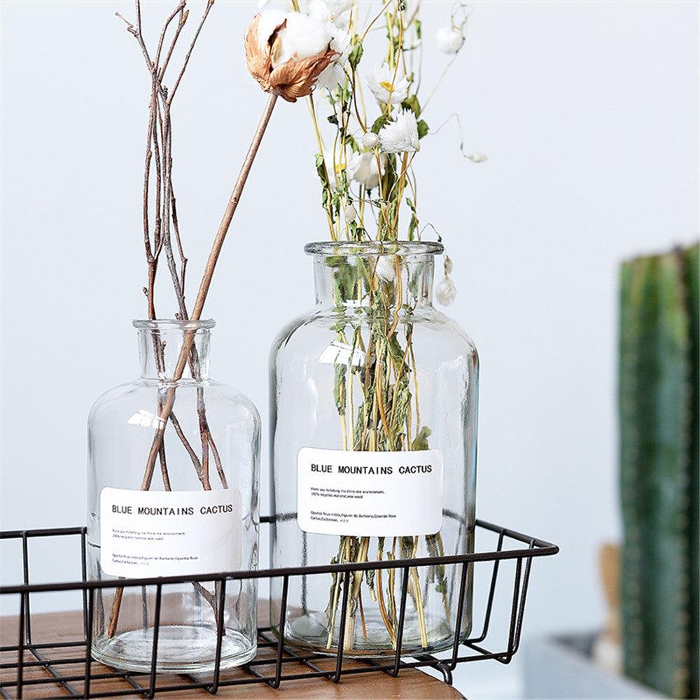 Small Brown Bottle Hydroponic Vase Clear Glass Small - Pacisia