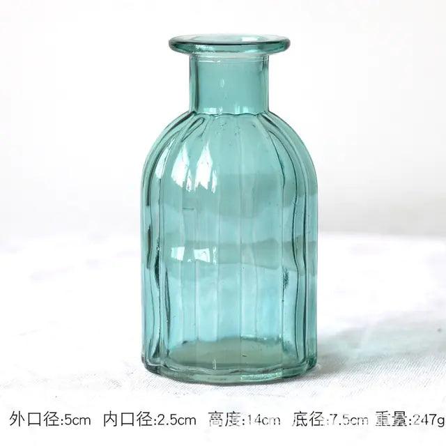 Small Fresh Flower Glass Vases - Pacisia