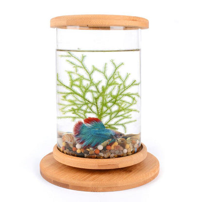 Small Office Glass Aquarium Bamboo Base Mini Fish Tank Decoration Fish Bowl - Pacisia