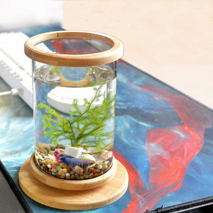 Small Office Glass Aquarium Bamboo Base Mini Fish Tank Decoration Fish Bowl - Pacisia