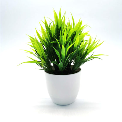 Source Simulation Plant Potted Flowers And Green Plants - Pacisia