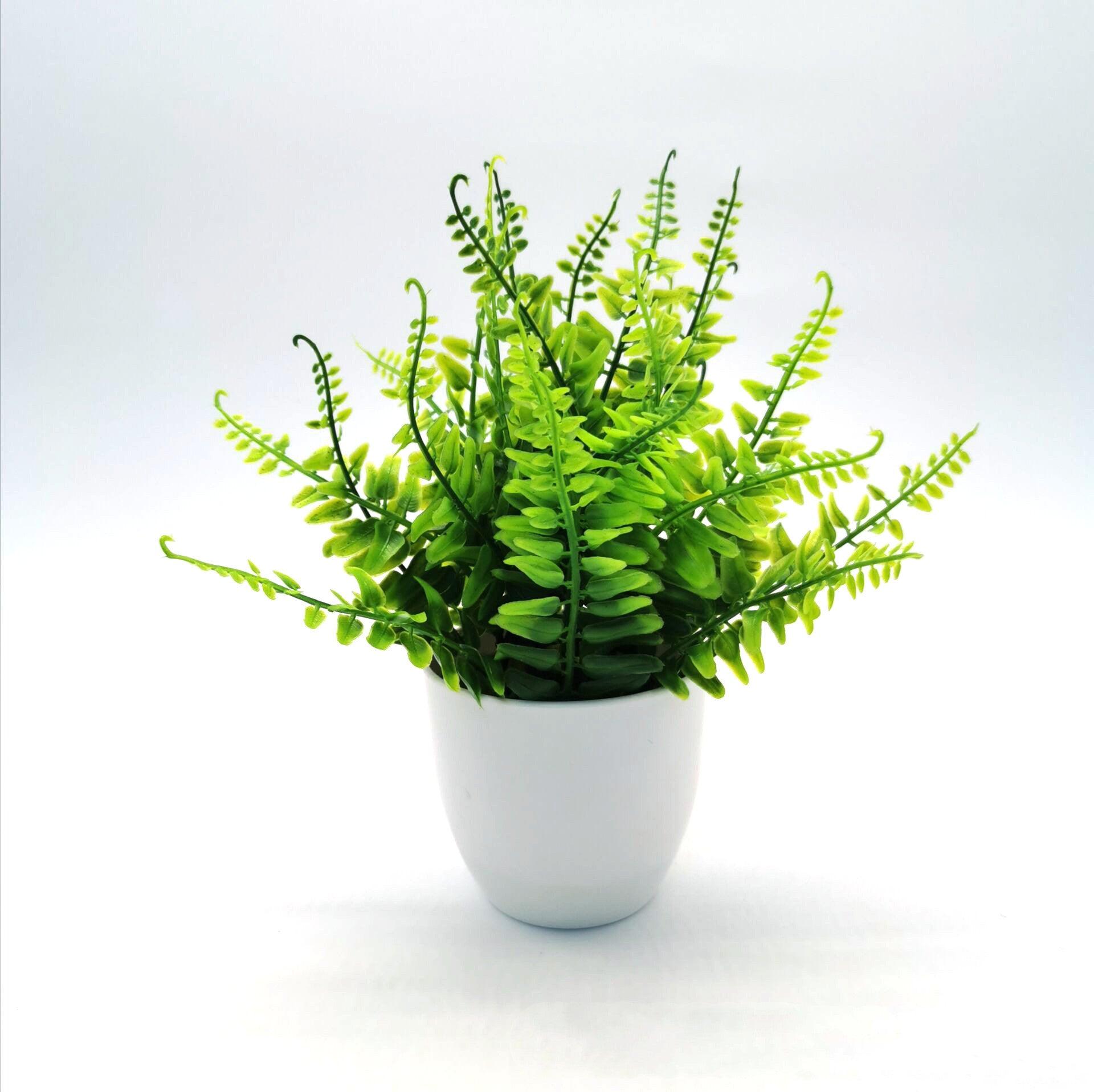 Source Simulation Plant Potted Flowers And Green Plants - Pacisia