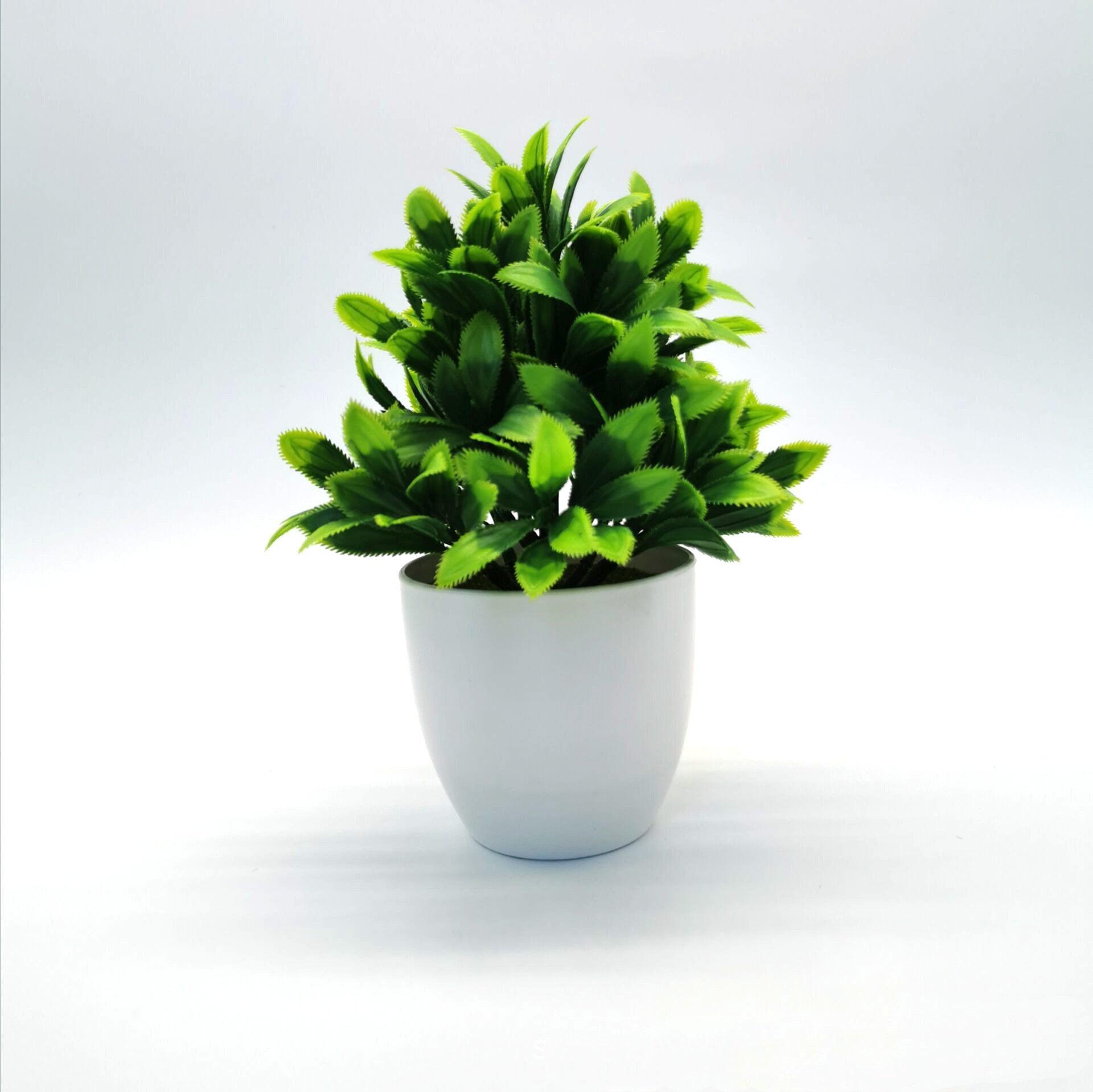 Source Simulation Plant Potted Flowers And Green Plants - Pacisia