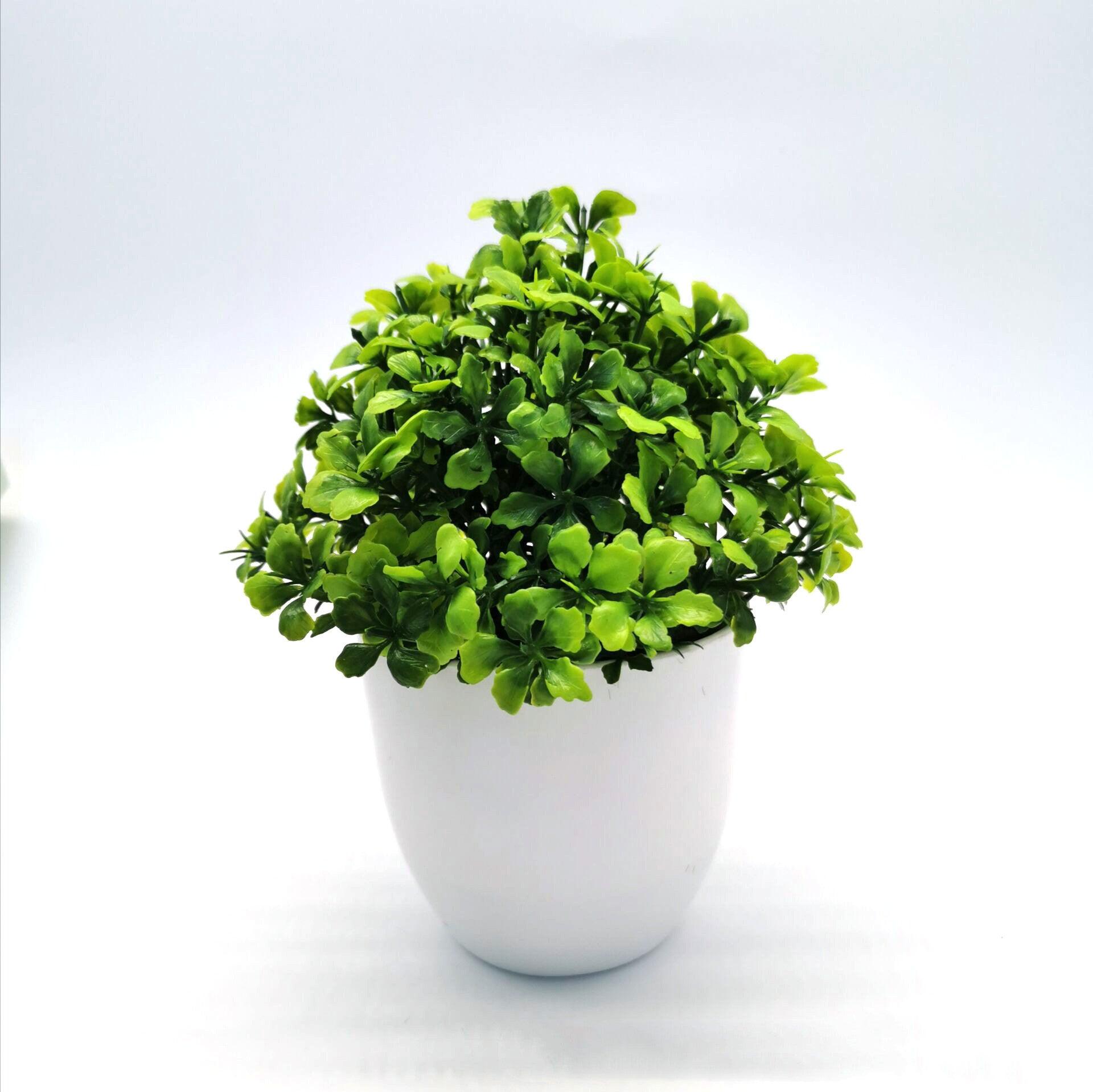 Source Simulation Plant Potted Flowers And Green Plants - Pacisia