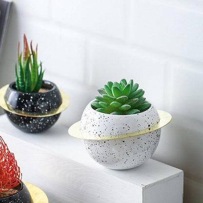 Creative desktop room decoration potted plants - Pacisia