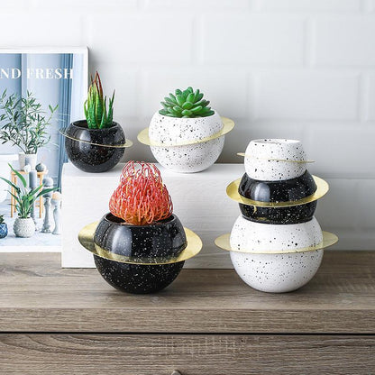 Creative desktop room decoration potted plants - Pacisia