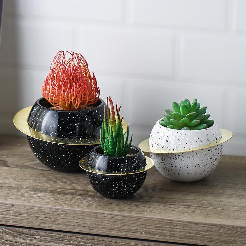 Creative desktop room decoration potted plants - Pacisia