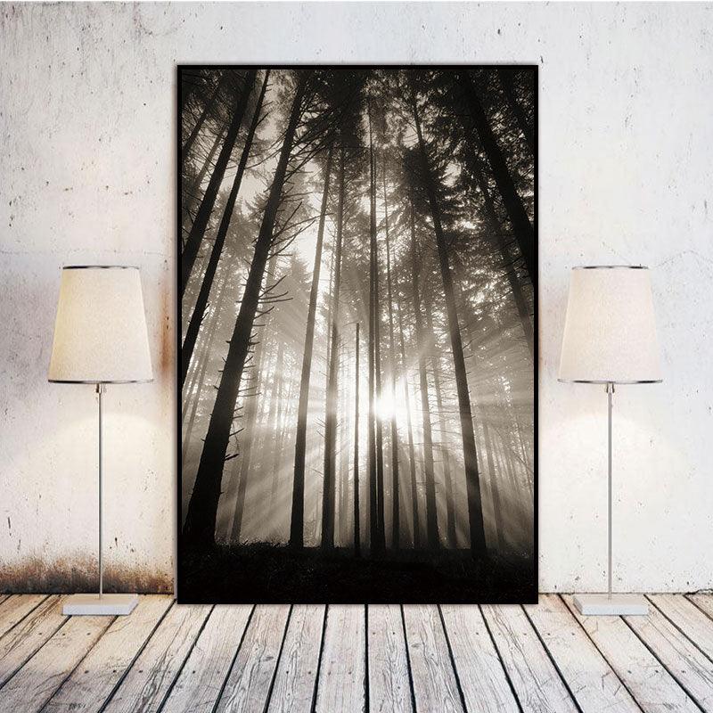 Sunlight Through Forest Canvas Wall Art - Black and White Poster | Pacisia - Pacisia