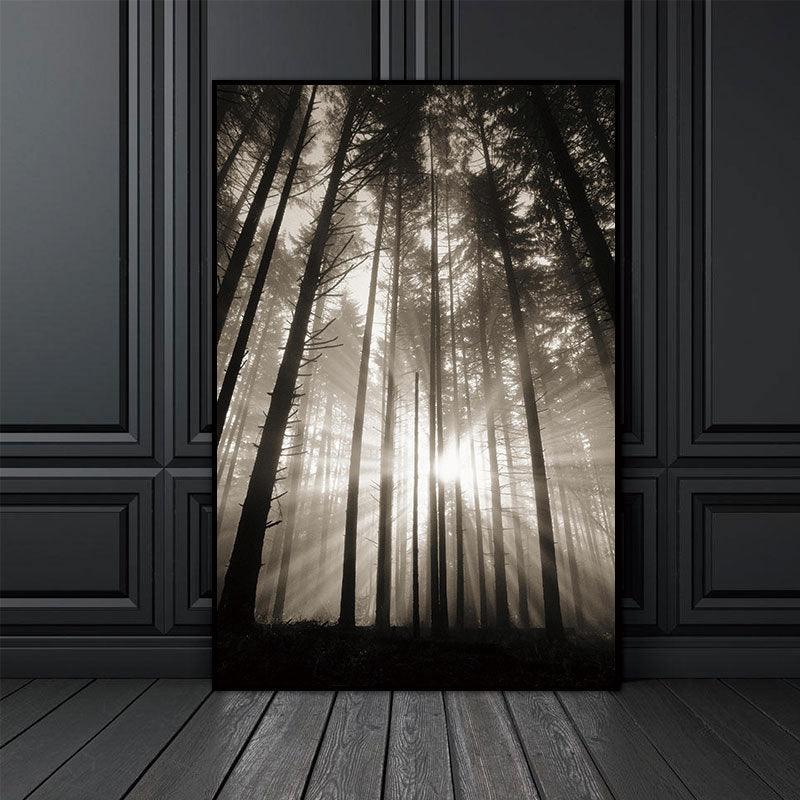 Sunlight Through Forest Canvas Wall Art - Black and White Poster | Pacisia - Pacisia