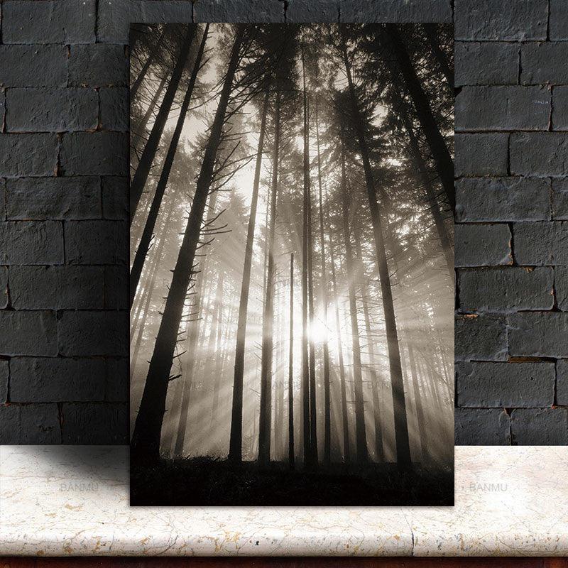 Sunlight Through Forest Canvas Wall Art - Black and White Poster | Pacisia - Pacisia