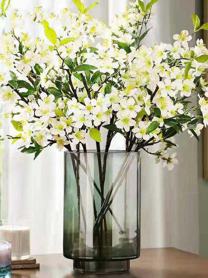 Vase Decoration Flower Arrangement Water Culture Creative Transparent Decoration - Pacisia