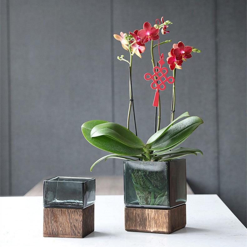 Wood Color Tansparent Glass Vase Combination Flower Arrangement - Pacisia