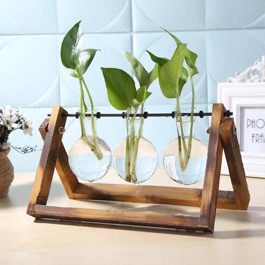 Glass and Wood Vase Planter Table Desktop - Pacisia