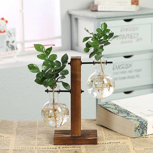 Hydroponic Transparent Plant Vases - Pacisia