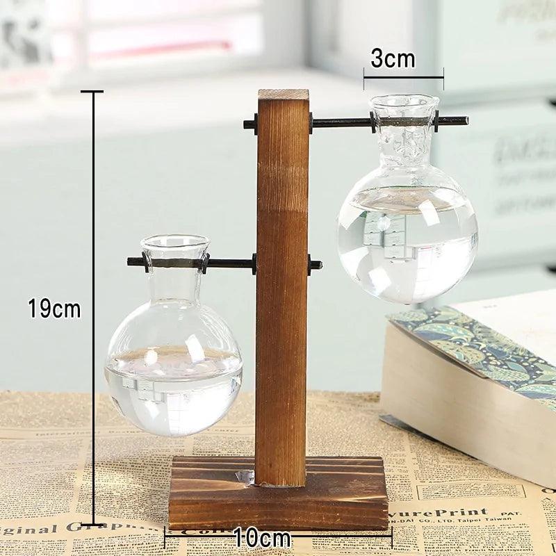 Hydroponic Transparent Plant Vases - Pacisia