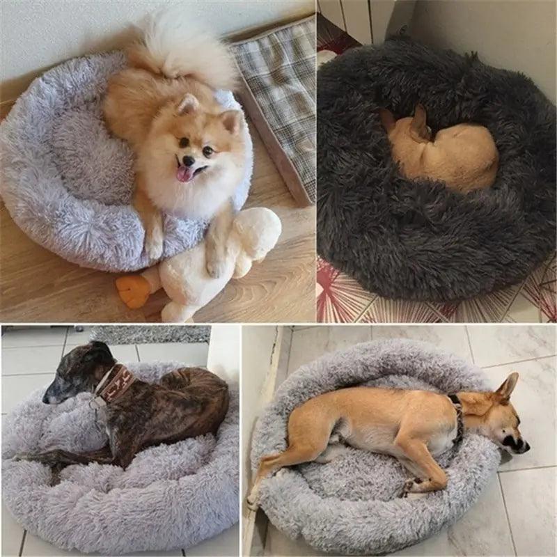 Plush Bed for Large Breed Pets - Pacisia