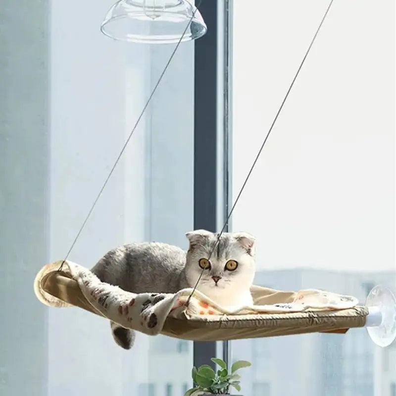 Suspended Bed for Pets - Pacisia