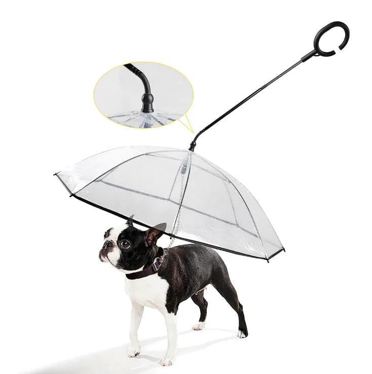Transparent Pet Umbrella - Pacisia