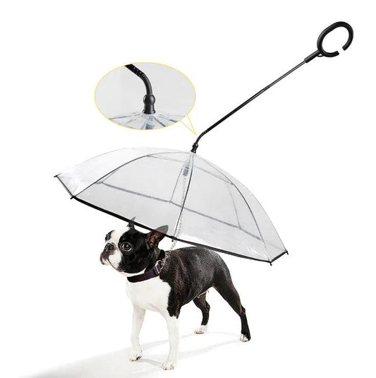 Transparent Pet Umbrella - Pacisia